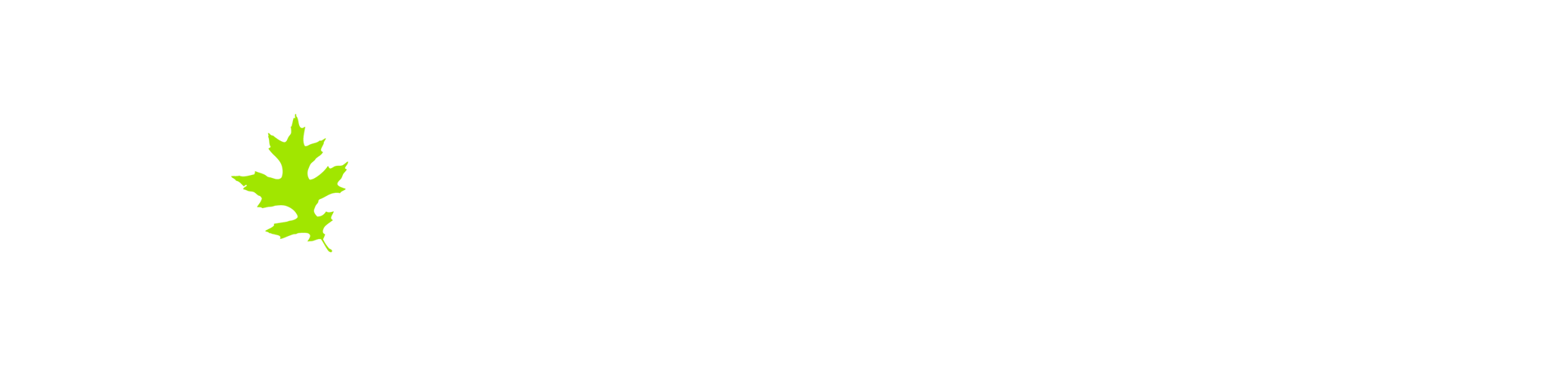 Jackson Dodds & Company Inc